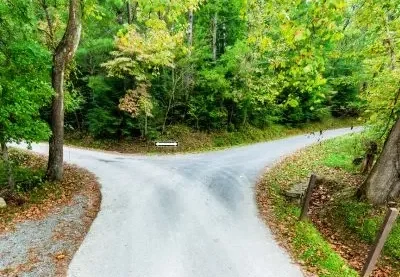 A Fork in the Road