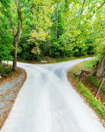 A Fork in the Road